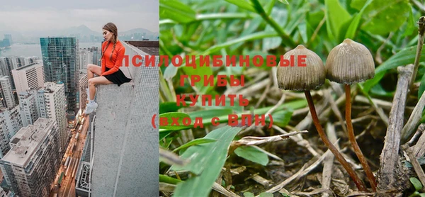 PSILOCYBIN Заволжск