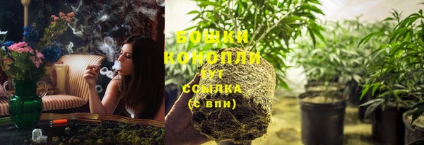 PSILOCYBIN Заволжск