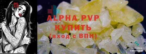 PSILOCYBIN Заволжск