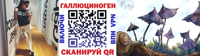 Галлюциногенные грибы GOLDEN TEACHER  Купить  Мамадыш 